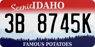ID license plate 3B8745K