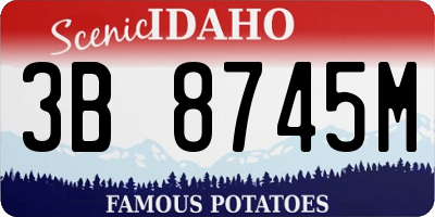 ID license plate 3B8745M
