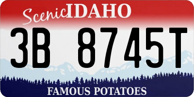 ID license plate 3B8745T