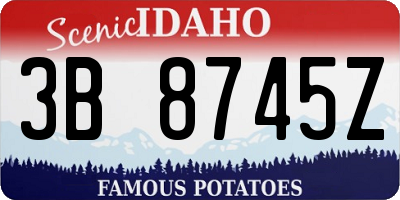 ID license plate 3B8745Z