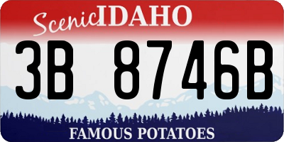 ID license plate 3B8746B