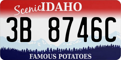 ID license plate 3B8746C