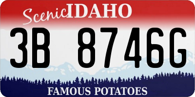 ID license plate 3B8746G