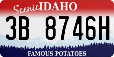 ID license plate 3B8746H