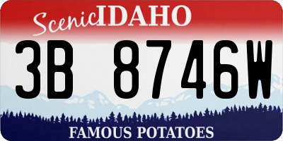 ID license plate 3B8746W