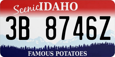 ID license plate 3B8746Z