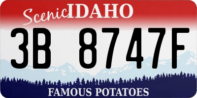 ID license plate 3B8747F