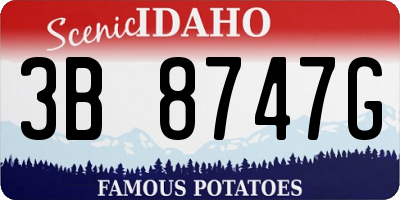 ID license plate 3B8747G