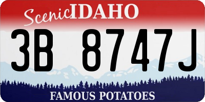 ID license plate 3B8747J