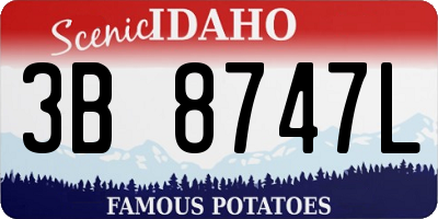 ID license plate 3B8747L