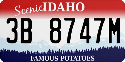 ID license plate 3B8747M