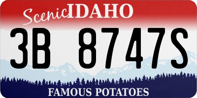 ID license plate 3B8747S