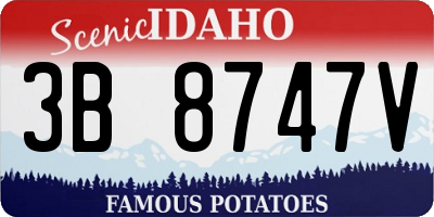 ID license plate 3B8747V