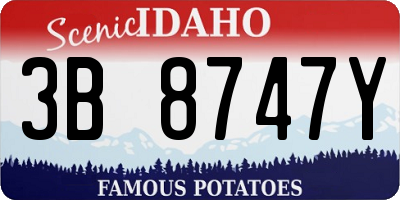 ID license plate 3B8747Y