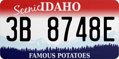 ID license plate 3B8748E