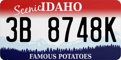 ID license plate 3B8748K