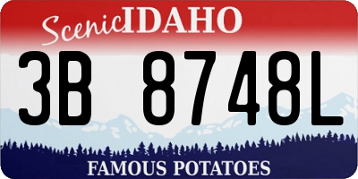 ID license plate 3B8748L