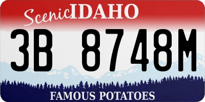 ID license plate 3B8748M