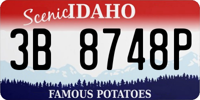 ID license plate 3B8748P