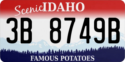 ID license plate 3B8749B
