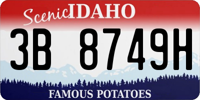 ID license plate 3B8749H