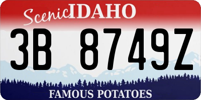 ID license plate 3B8749Z