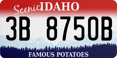 ID license plate 3B8750B
