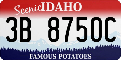 ID license plate 3B8750C