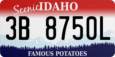 ID license plate 3B8750L