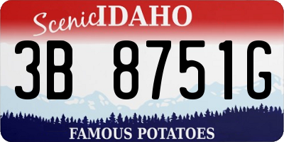 ID license plate 3B8751G