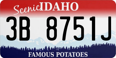 ID license plate 3B8751J
