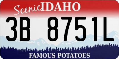 ID license plate 3B8751L