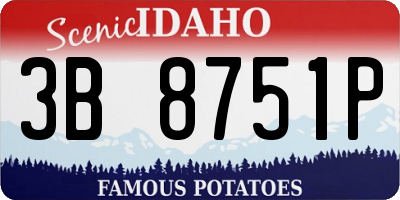 ID license plate 3B8751P