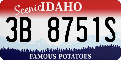 ID license plate 3B8751S