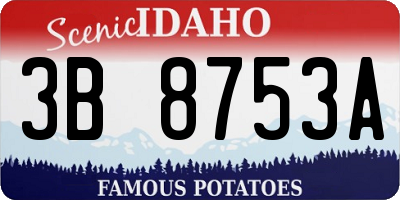 ID license plate 3B8753A