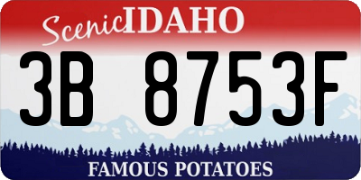ID license plate 3B8753F