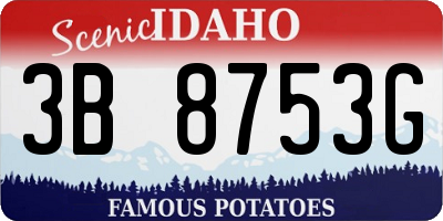 ID license plate 3B8753G