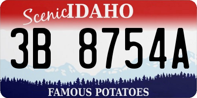 ID license plate 3B8754A