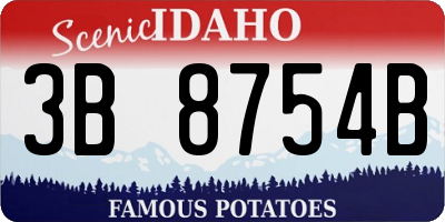 ID license plate 3B8754B