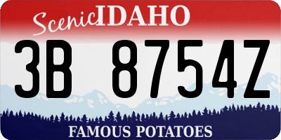 ID license plate 3B8754Z