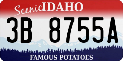ID license plate 3B8755A