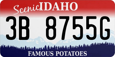 ID license plate 3B8755G