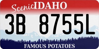 ID license plate 3B8755L