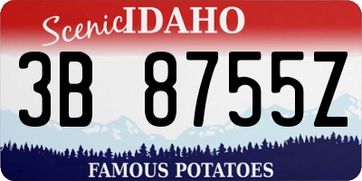 ID license plate 3B8755Z