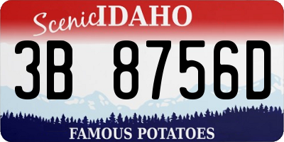 ID license plate 3B8756D