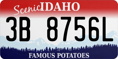 ID license plate 3B8756L