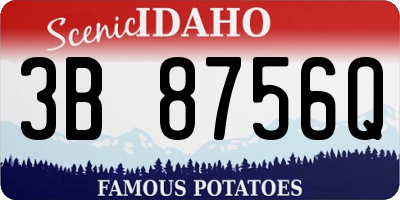 ID license plate 3B8756Q