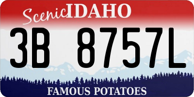 ID license plate 3B8757L