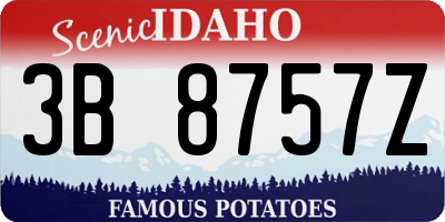 ID license plate 3B8757Z
