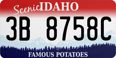 ID license plate 3B8758C